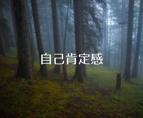 否定や評価はなし✨心の負担を軽くします 「本当はどうしたいのか」を少しずつ一緒に見つけていきましょう イメージ2