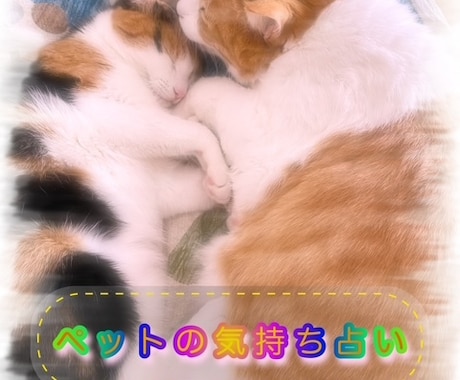ペットの気持ち占います あの子は今、何を思っているの？とペットの気持ちを知りたい方へ イメージ1