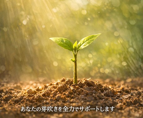90分×4回で金融機関への開業計画の作成支援します あなたの想いを納得の行く形にする“本格伴走360分" イメージ2