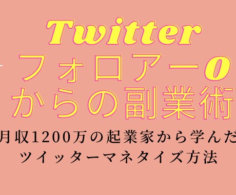 Twitterでフォロワー０からの副業術伝授します 初心者から実践できる具体的ステップを詳細解説してます！ イメージ1