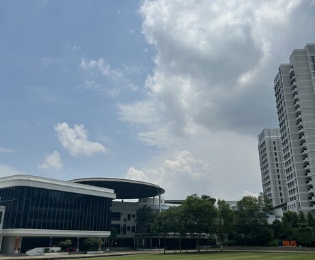 学生向け!現役海外大大学生が勉強のサポートをします 現役NUS生による学校の授業・課題&英語学習サポート! イメージ1