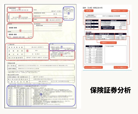 保険会社出身FPが払いすぎを見つけます 元保険会社員FPが完全中立で保険の払いすぎを診断します イメージ2