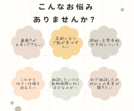 現役動物看護師がペットのお悩みお聞きします しつけ相談、病気の相談、グッズや食事の選び方など イメージ2