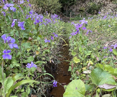 色々な素材を出品します 他には無い身近なものから色々と売ります！とにかく頑張ります。 イメージ2