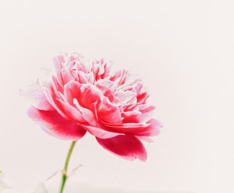 天使からのメッセージ伝えます 潜在意識を開花！宇宙からのメッセージを受け取ってみませんか イメージ2