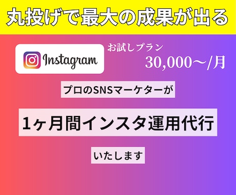 丸投げで最大の成果が出るインスタ引用代行いたします 100万再生連発のプロのマーケターが担当 イメージ1