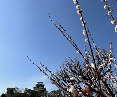 あなたの恋愛相談をポジティブにのります 不安要素を吹き飛ばす恋愛思考を。 イメージ2