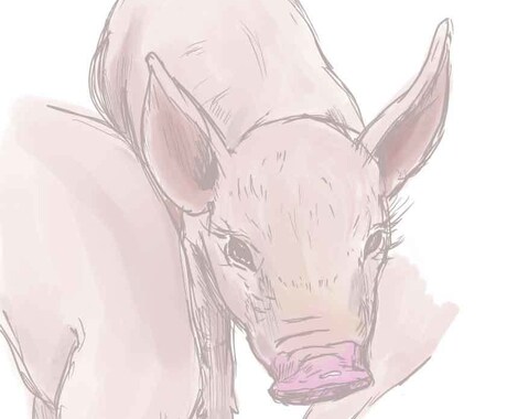 ペットのイラスト描きます お望みのテイストで私のペット表現できます！ イメージ2