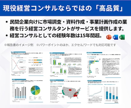 経営コンサルが事業計画書・ピッチ資料を作成します 外資系コンサル歴15年以上｜事業計画書・ピッチ資料・市場調査 イメージ2