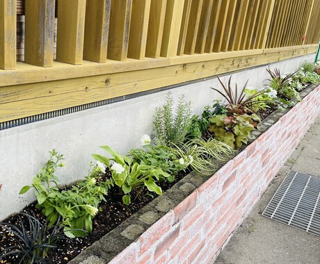 オンラインでお庭や植物の相談、悩みアドバイスします プロの園芸家がガーデニングアドバイス！お庭が素敵に変身♪ イメージ1