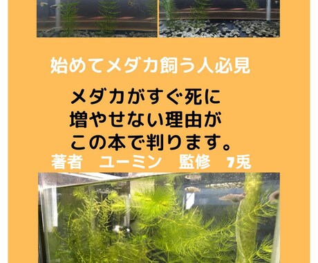 メダカを繁殖させる5原則動画で教えます パワーポイントを使ってメダカを繁殖させる5原則動画で公開 イメージ1