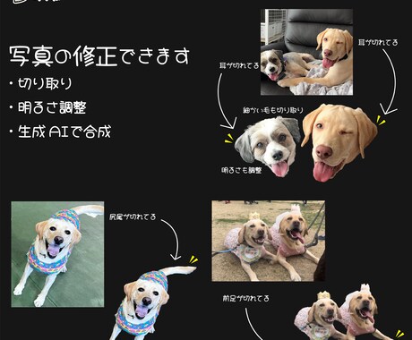 ウチの子名刺 作ります 【ウチの子名刺 ストリートアートver.】 イメージ2