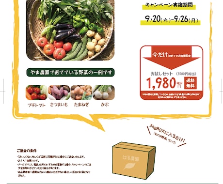 女性向けのフライヤー、リーフレット制作します あなたのイメージ通りのデザインに イメージ1