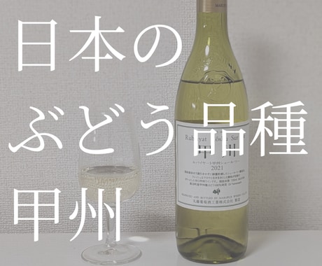 ワイン選びをサポートします 日本ソムリエ協会認定有資格者がサポートします！ イメージ2