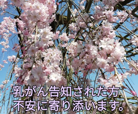 乳がんについての相談、不安に寄り添います 若年性乳がん経験者で仕事しながら治療できました(^^) イメージ1