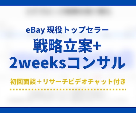 eBay 戦略立案+2週間みっちりコンサルします スタート割引中！ 初回面談＋リサーチビデオチャット付き イメージ1