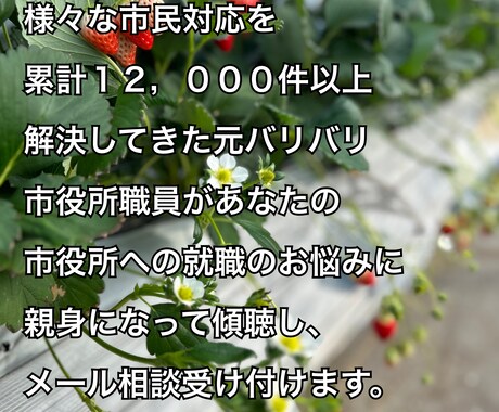 市役所への就職のお悩みメッセージ相談承ります 市民対応累計12,000件以上元市役所職員が傾聴します。 イメージ1