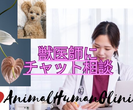 チャットで獣医師に相談できます いつでもどこでも気軽に獣医師チャット相談！ イメージ1