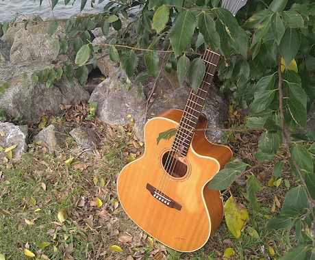 ご希望に添えるよう心を込めて！伴奏音源制作します 歌ってみた他オリジナル曲伴奏、アコギパートも、自ら歌って検品 イメージ2