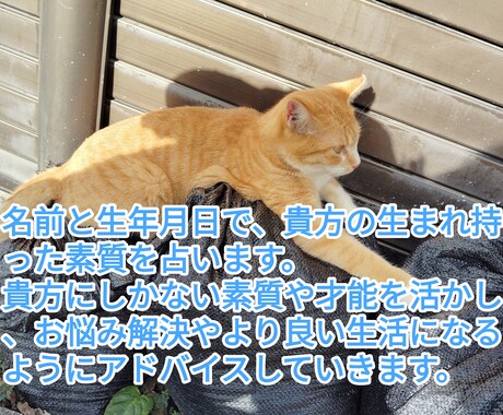 名前と生年月日を使って占います 貴方にしかない才能や素質で今より良い環境に自分らしく！ イメージ1