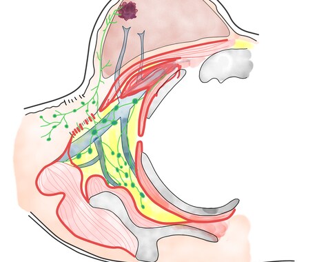 医療従事者の方オススメ！医療系の挿絵制作します 学会やプレゼンで使う資料の挿絵採用実績あり イメージ2