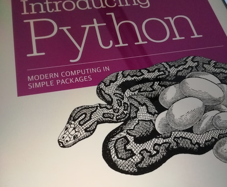 Python始めたい方相談乗ります プログラミングが初めての方に丁寧に教えます！初心者向け！ イメージ1