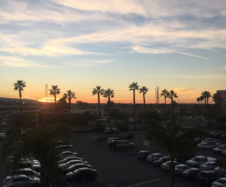 現役アメリカ留学生がカリフォルニアの活きた事情をお教えします♪ イメージ2