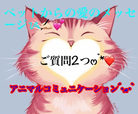 ご質問2つ.*・゚ペットさんの心の声をお届けします お空の子ともお話します・*アニマルコミュニケーションでお届け イメージ1