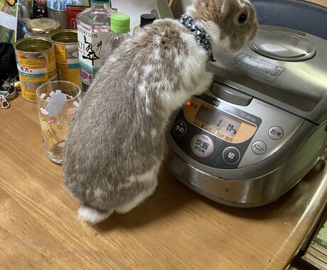総合お悩み相談受け付けます どんな小さな悩みも聞きます話してみて下さい イメージ2