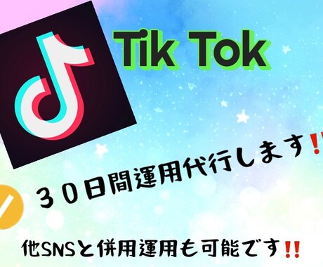 30日間◆TikTokアカウント運用代行します 30日間TikTok運用代行します！！ イメージ1