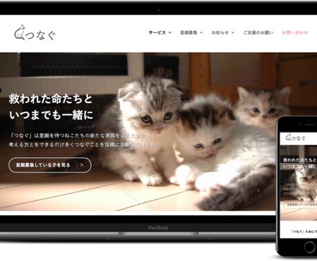 可愛い猫ちゃんページをWordpressで作ります 低予算でも本格的な猫ちゃんページを猫派のあなたに イメージ2