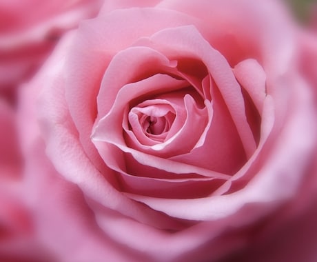 リピーター様専用｜メッセージ2往復でサポートします カウンセリング後に出てきたちょっとした疑問やご不安などに イメージ1