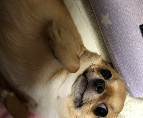 ひたすらお話し聞きます アドバイスしません!あなたの声をききます!内容守秘。 イメージ1