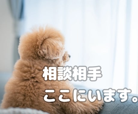 雑談から愚痴も◎どんな時でもあなたの味方でいます 話してみてください、きっとあなたの気持ちがすっきりします！ イメージ1
