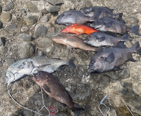 初めての魚突きをゼロからサポートします 経験者が安全な始め方と道具選びを丁寧にサポート イメージ1