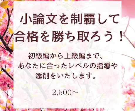 大学受験で小論文が必要な方への指導と添削をします 初級から上級まで！小論文を極めて合格を掴みとろう！ イメージ1