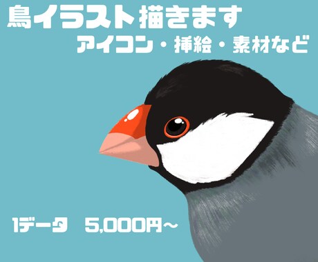 鳥イラスト描きます あなたの「推し鳥」を可愛く描きます！ イメージ1