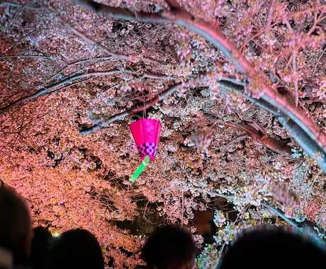 あなたの写真SNS映えするレタッチ致します あなたが撮ったお写真雰囲気良く、写真に合わせたレタッチ イメージ2