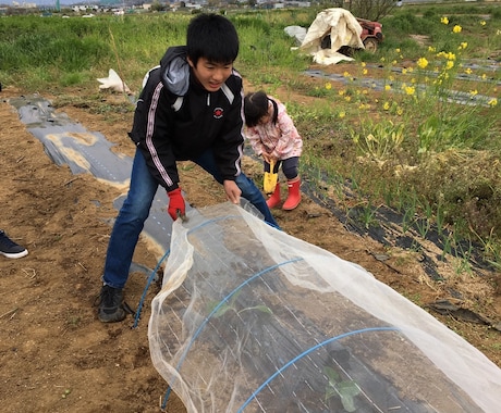 小学生のお子さんの個性に合う習い事を提案します 【お子さんの個性や長所を伸ばさない】習い事をしていませんか？ イメージ2