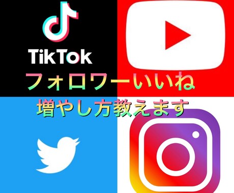 フォロワーやいいね増やし方教えます InstagramTwitterYouTubeTikTok イメージ1