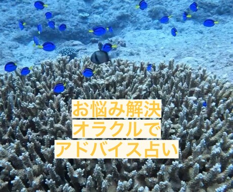 オラクルカードで占いします 幸せへの導き✨お悩み解決！心が楽になる様にアドバイス！ イメージ1
