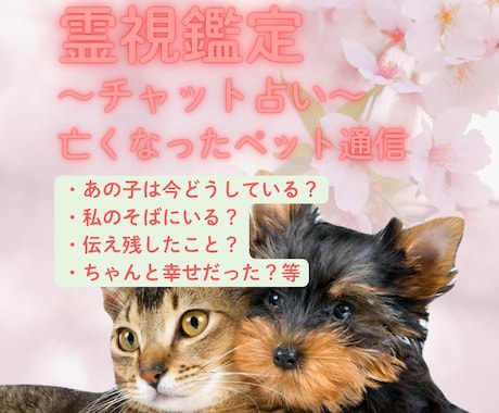亡くなったペットからのメッセージをお伝えします 霊視鑑定から、大切なペットちゃんからのお声を届けます。 イメージ1