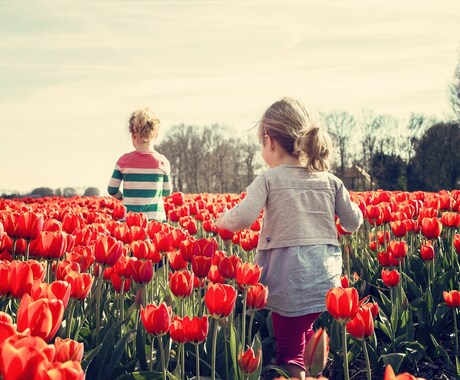 お子様の悩みを占います 子供と向き合うのが怖い！そんな時、そっと寄り添います。 イメージ1