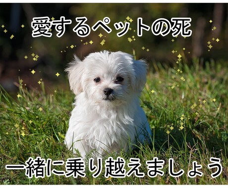 愛するペットを失ったあなたに寄り添います 悲しい気持ち、寂しい気持ち、我慢しなくていいんですよ。 イメージ1