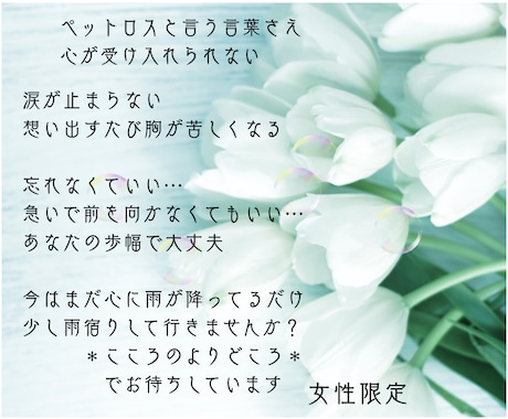 ペットロス…心がついて来ないあなたに寄り添います 大切なあの子に…｢会いたい｣｢抱っこしたい｣私も同じ想いです イメージ2