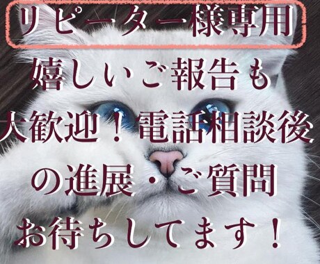 リピーター様＊専用その後の経過を伺い軌道修正します 嬉しいご報告も大歓迎！電話相談後の進展・質問お待ちしてます！ イメージ1