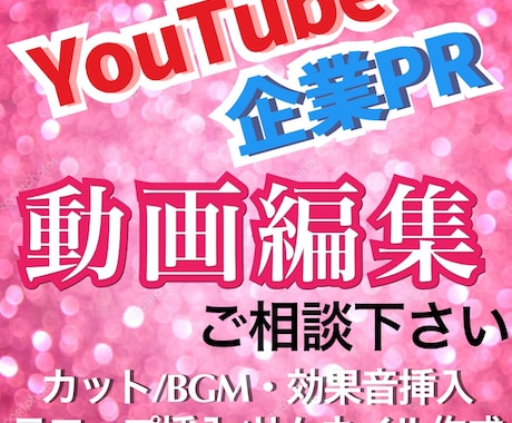 YouTube向け動画・企業PR動画の編集承ります 個人・法人の用途に合った編集を心がけております！ イメージ1
