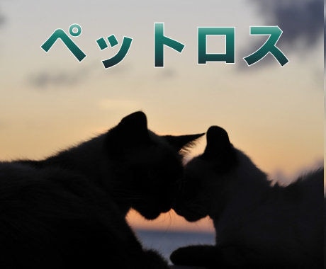 ペットロスを癒やします グリーフケアです。　辛いお気持ちをお聴かせください。 イメージ1