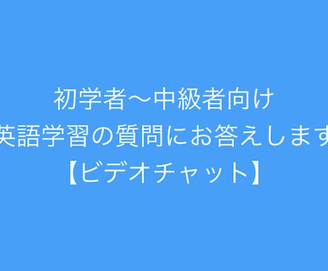 初学者〜中級者向け　英語学習の質問にお答えします 【ビデオチャット】お仕事で英語を使うため独学中の方向けです イメージ1