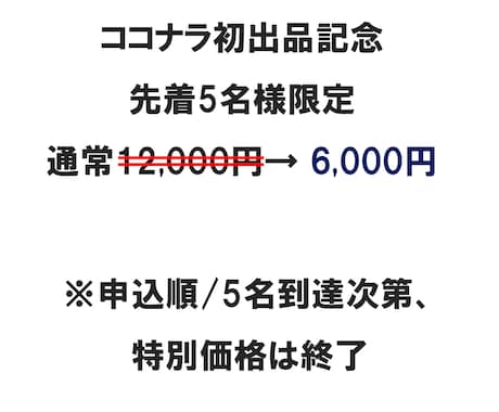 インバウンド集客の相談・戦略壁打ち【60分】します 外国人目線で課題を整理・打ち手を明確化【先着5名様限定半額】 イメージ2